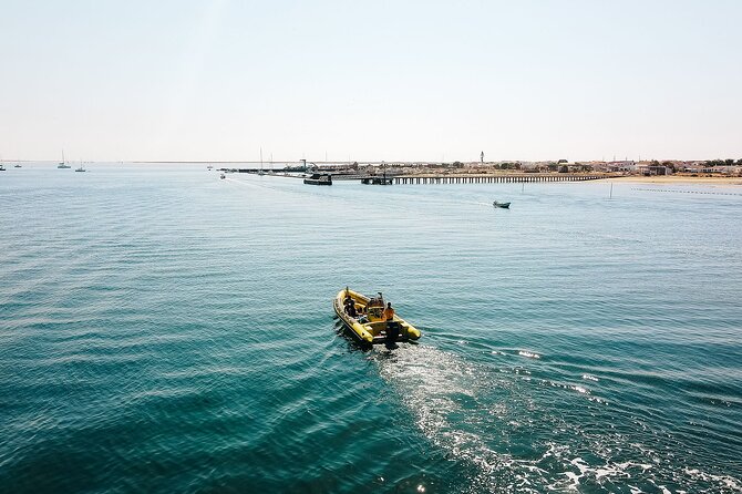 Hop On Hop Off 3 Islands: Deserta, Farol and Culatra - Who should book this island day?
