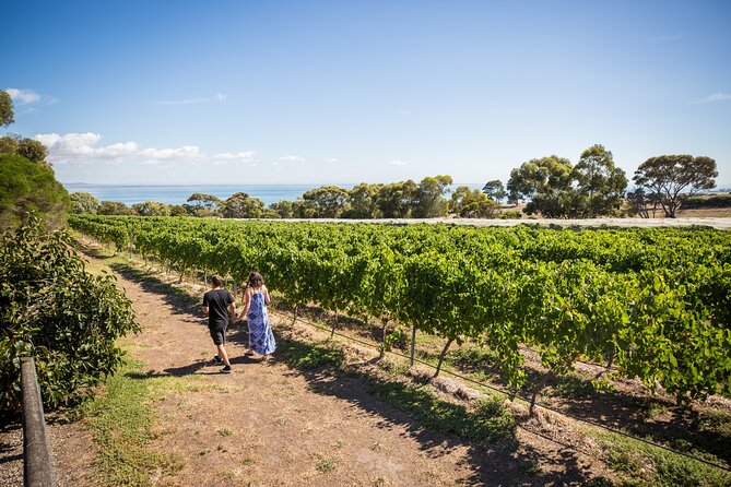 Hop On Hop Off Bellarine Bellarine Peninsula - Stop 4: Terindah Estate