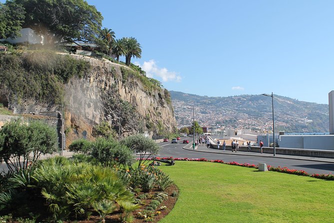 Hop-on Hop-off Bus Tour and Catamaran Whale & Dolphin Watching - Quinta Magnólia and the route toward the coast