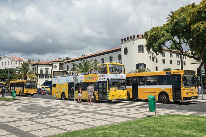 Hop-on Hop-off Bus Tour and Catamaran Whale & Dolphin Watching - Wine, embroidery, and the included discounts