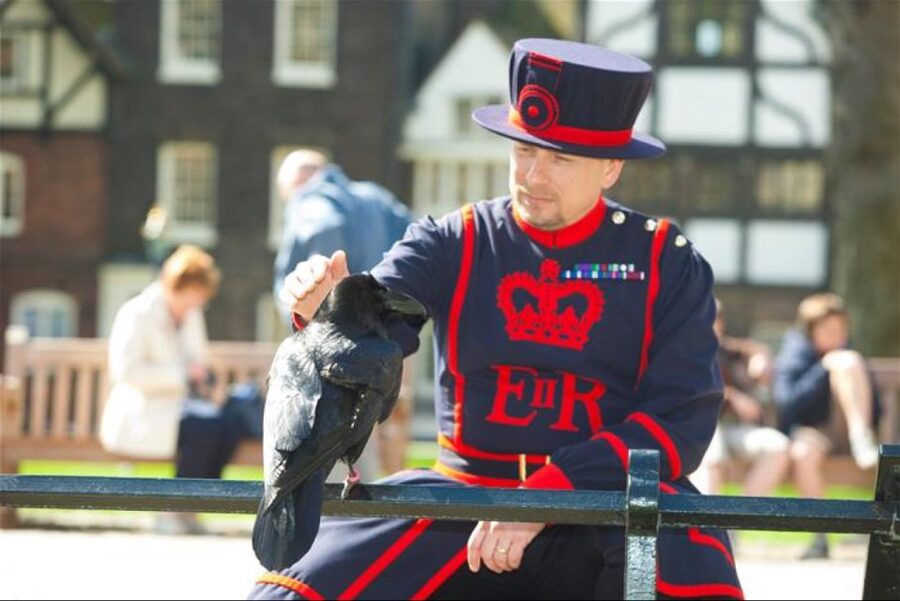 Hop on Hop off London Bus Tour & Tower of London - Tower of London and the Crown Jewels