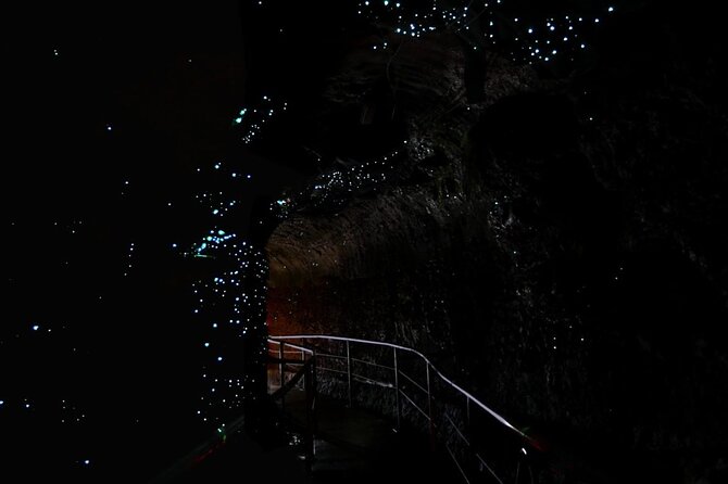 Hop on Hop off - Tamborine Rainforest Skywalk + Glow Worm Caves - Key points to know before you go