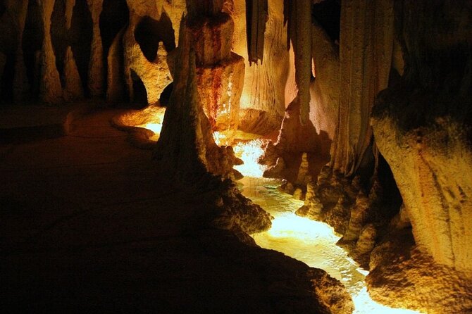 Hop on Hop off - Tamborine Rainforest Skywalk + Glow Worm Caves - What this Tamborine Mountain trip is really like