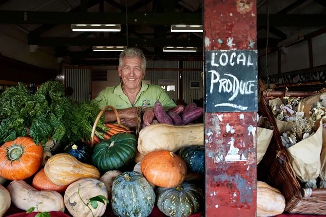 Hop on Hop off - Tamborine Rainforest Skywalk + Glow Worm Caves - Extra stops depend on the group