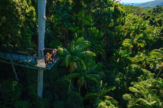 Hop on Hop off - Tamborine Rainforest Skywalk + Glow Worm Caves - Leaving Brisbane for the mountain