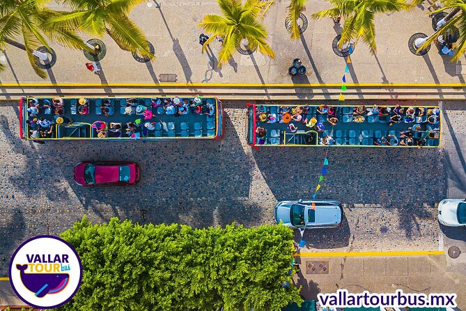 Hop On Hop Off Tour with Free Stops in Puerto Vallarta - What this Puerto Vallarta bus tour is really good for