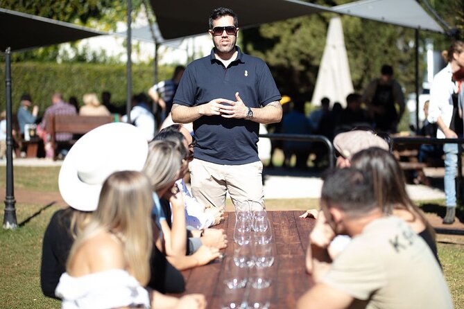 Hop on Hop off Wine tasting tour to Tamborine Mountain - Key points before you book