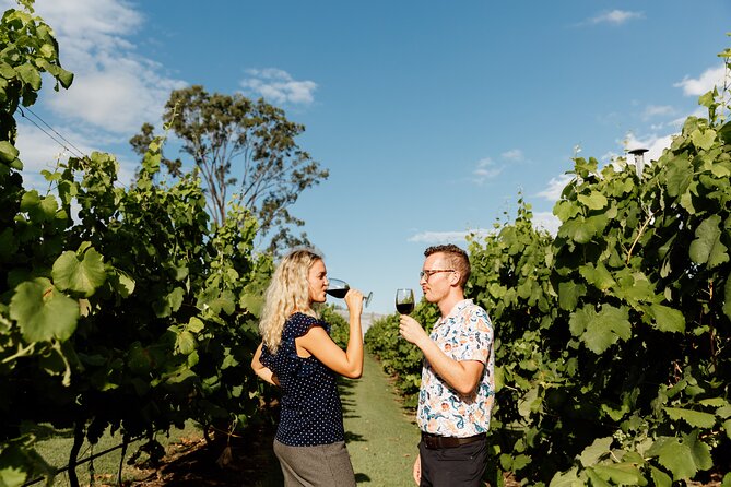 Hop on Hop off Wine tasting tour to Tamborine Mountain - Weather, clothing, and the pace of the day
