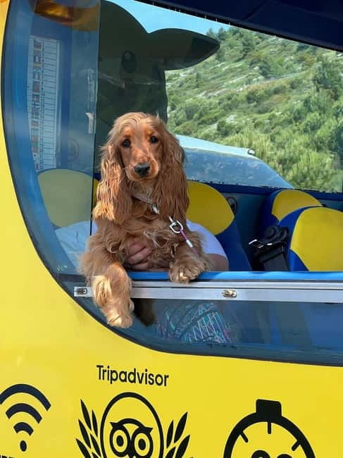 Hop-On Hop-Off Yellow Cabrio Tour: See Dubrovnik in 90mins - Who should book this yellow cabrio ride?