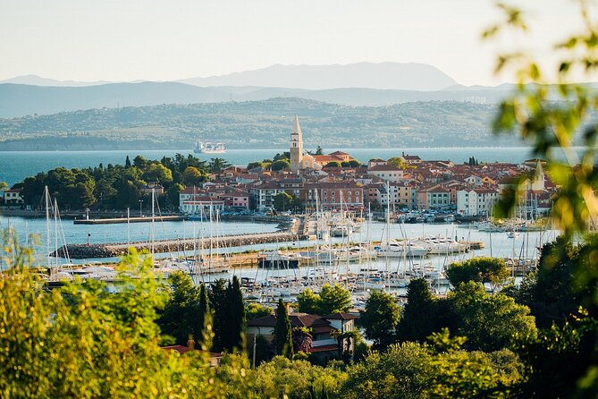 Hop & Taste Slovenian Riviera Hop-On Hop-Off & Local Bites - Starting at Koper’s cruise terminal