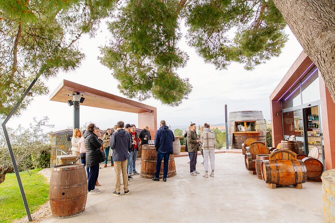 Hop & Taste Slovenian Riviera Hop-On Hop-Off & Local Bites - Koper old town: Venetian streets and practical tastings