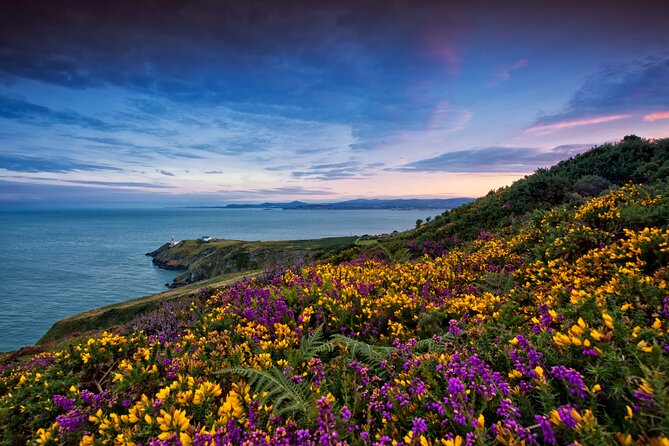 Howth Coastal Half-Day Bus Tour from Dublin with Live Guide - Howth Summit and the cliff walk