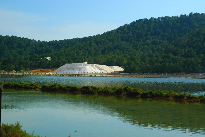 Ibiza Tour Island Bus Tour with Hippie Market Visit - Salines gives you 30 minutes with Ibiza’s salt flats