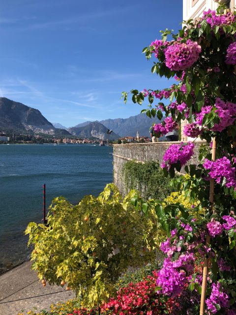 Isola Pescatori and Isola Bella Hop-On Hop-Off Boat Tour - Who should book this boat tour?