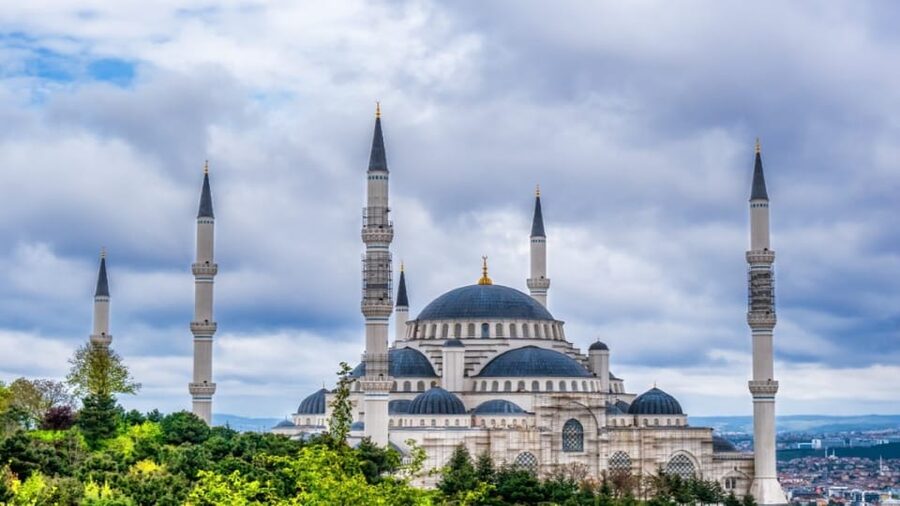 Istanbul: City Hightlights Bus Tour and Bosphorus Cruise - Lunch provides a needed pause