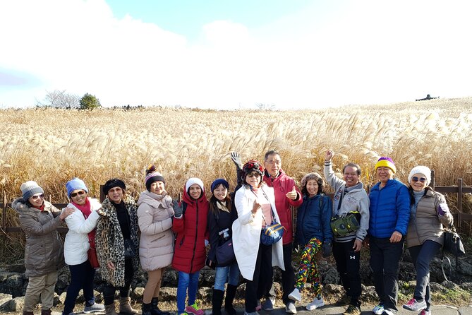 Jeju bus tour with professional English guide for cruise customer - From Seogwipo Gangjeong: waterfalls and the south coast