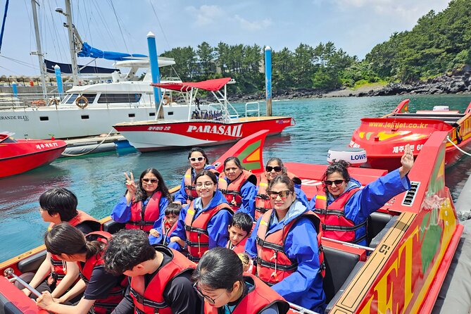 Jeju bus tour with professional English guide for cruise customer - Who should choose this tour?