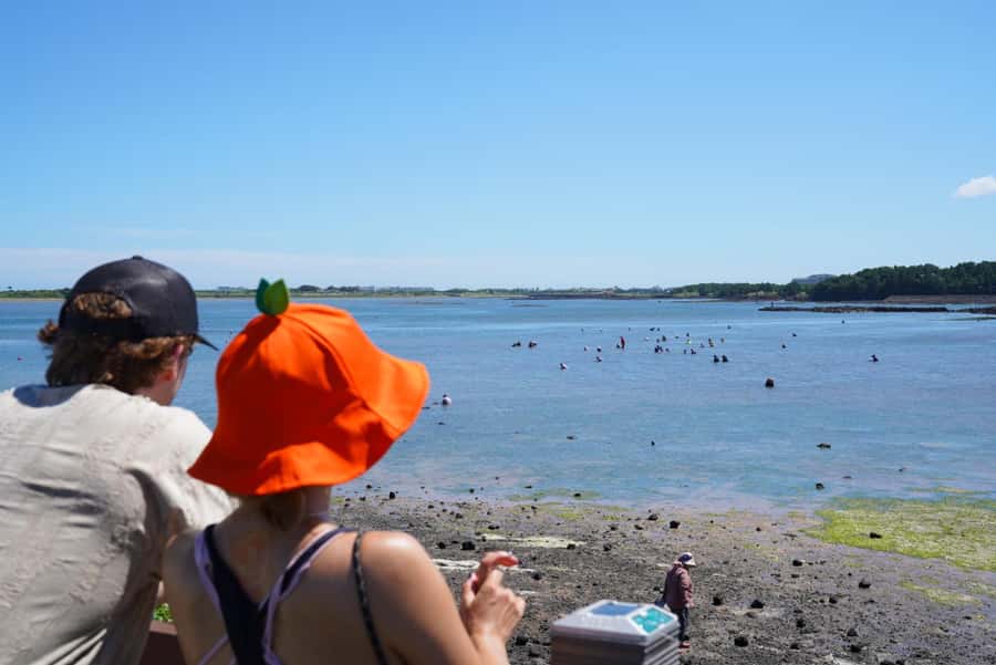 Jeju EAST Course : UNESCO (Seongsan-ilchulbong) BUS TOUR - Key points to know before booking