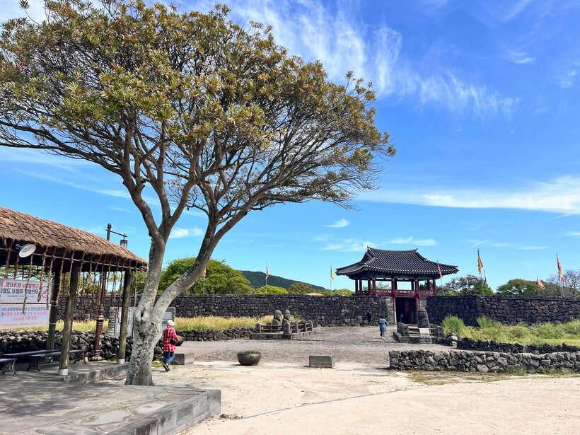 Jeju: East of Jeju Island Bus Tour from Seogwipo City - Key points before you book