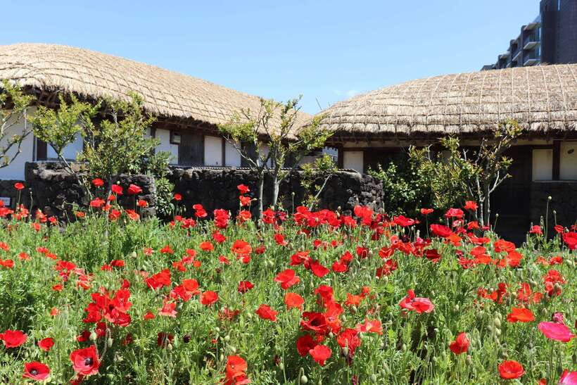 Jeju: East of Jeju Island Bus Tour from Seogwipo City - The guide and transport are a large part of the value