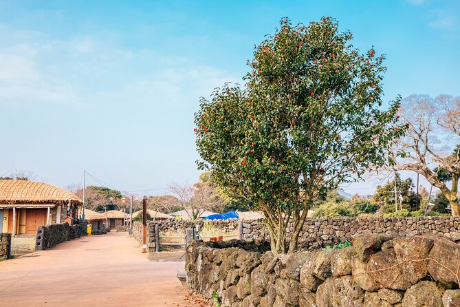 Jeju Eastern Must visit Unesco Bus Tour - Seongsan Ilchulbong, the day’s big climb