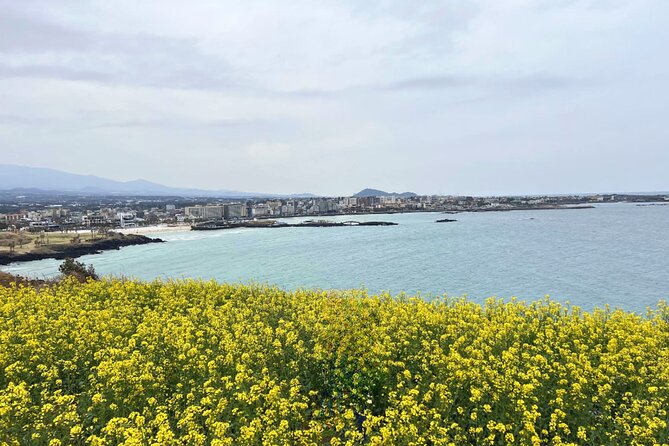 Jeju Eastern Must visit Unesco Bus Tour - Ilchul Land and Jeju’s underground world