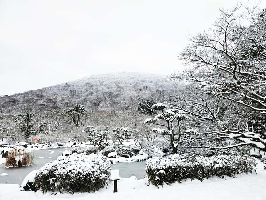 Jeju Island: Full-Day East Jeju Bus Tour with Entry Fees - Micheongul Cave and the gardens at Ilchulland