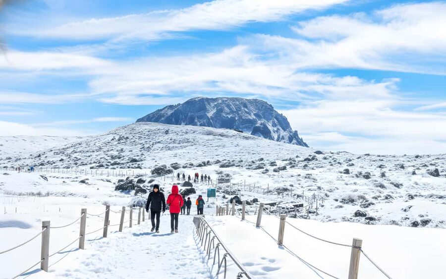 Jeju Island: Full-Day SouthWest Bus Tour with Entry Fees - What this Jeju day tour is really trying to do