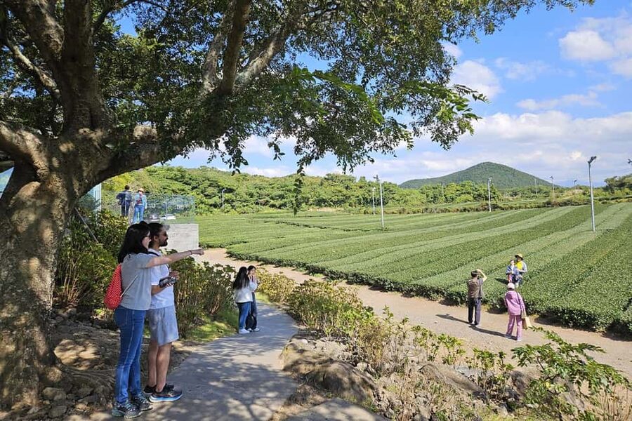 Jeju Island: Full-Day SouthWest Bus Tour with Entry Fees - Cheonjeyeon Waterfall and the Pond of the Gods