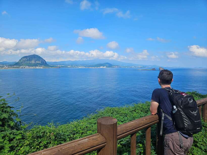 Jeju Island: Full-Day SouthWest Bus Tour with Entry Fees - O’sulloc Green Tea Fields: a calmer middle section