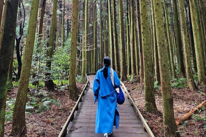 Jeju Island UNESCO Heritage Bus Tour - South and Western Jeju: market food, waterfalls, and Hueree