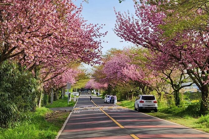 Jeju Island UNESCO small group Join tour(Taxi, van & bus) - Who Should Book This Tour?