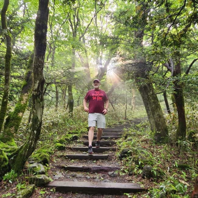 Jeju Southern: Mt.Hallasan and UNESCO Geopark Bus Tour - Who should book this tour?