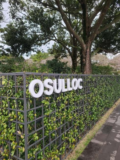 Jeju Southern: Mt.Hallasan and UNESCO Geopark Bus Tour - Jusangjeolli Cliff and Jeju’s volcanic geometry