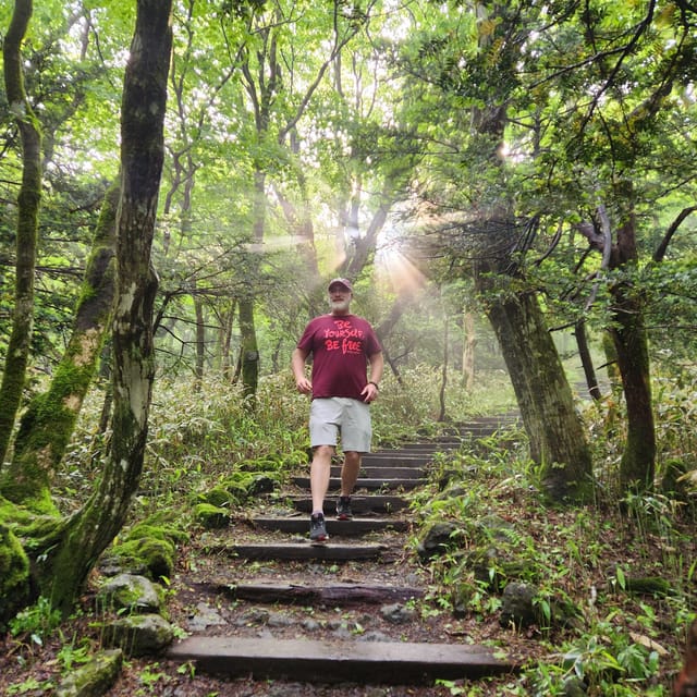 Jeju Southern: Mt.Hallasan and UNESCO Geopark Bus Tour - Cheonjiyeon Waterfall: the easiest walk of the day