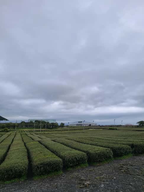 Jeju Southern: Mt.Hallasan and UNESCO Geopark Bus Tour - What the day feels like on the bus