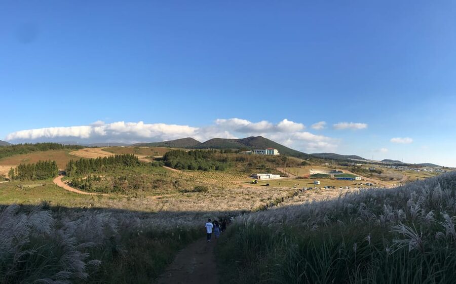 Jeju: West of Jeju Island Bus Tour from Seogwipo City - Sinchang shows why Jeju is called the island of wind
