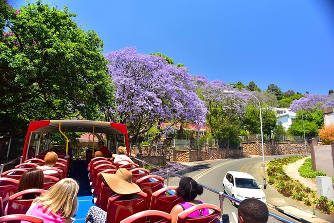 Johannesburg Hop-On Hop-Off City Tour with Soweto Option - Newtown, Braamfontein, and the city’s everyday character