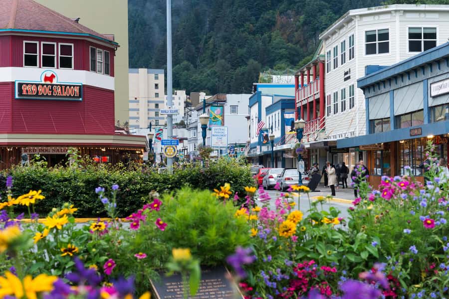 Juneau: City Highlights Bus Tour - Finding the bus near the Goldbelt Tram