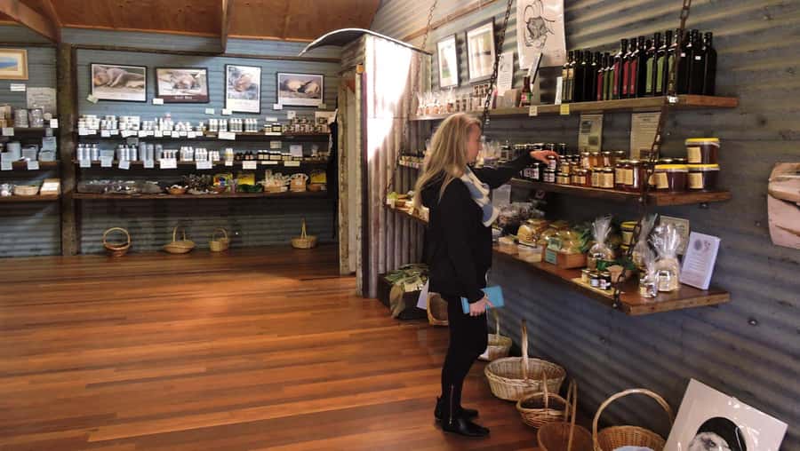 Kangaroo Island: Half-Day Tour Guided Coach Tour - Key points at a glance