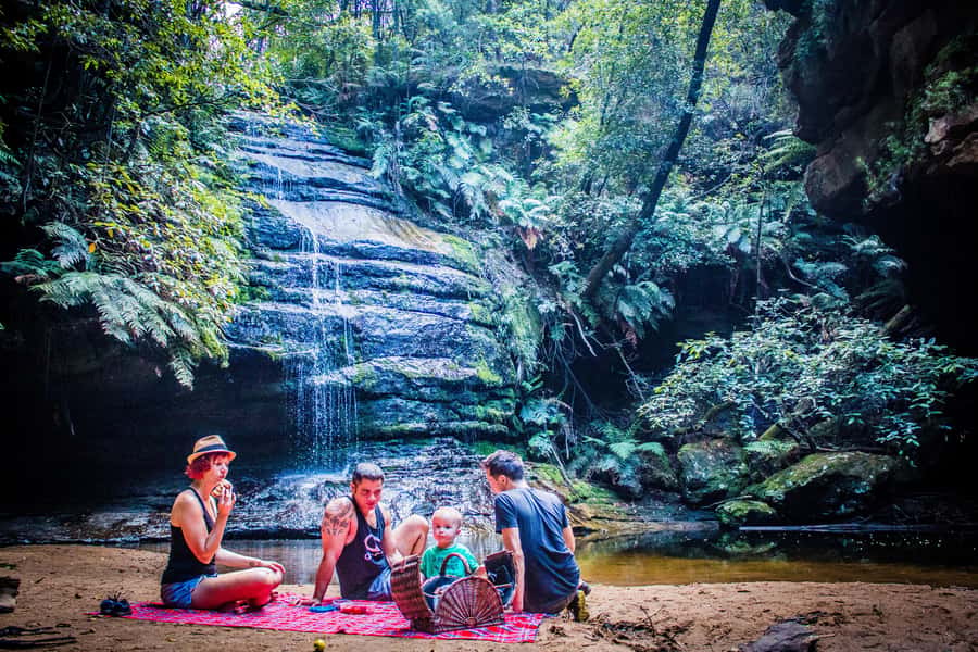 Katoomba: Blue Mountains Full-Day Hop-On Hop-Off Bus Tour - Starting at Katoomba station and Stop 1