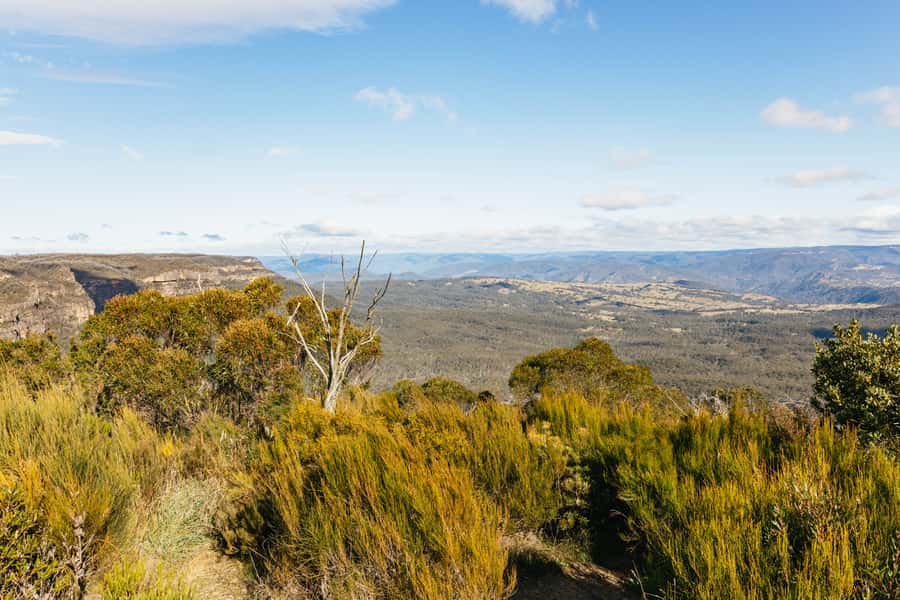 Katoomba: Lyrebird Hop-On Hop-Off and Scenic World Pass - Why the 9:15 AM departure matters