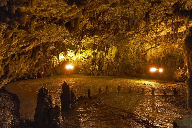 Kefalonia Island Bus Tour- Wine Tasting, Melissani & Fiscardo - The coach ride, guide, and group size
