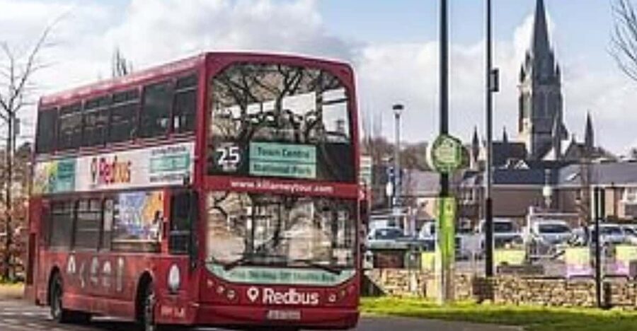 Killarney: Hop-On Hop-Off Bus to Killarney National Park - Why this bus makes Killarney National Park easier