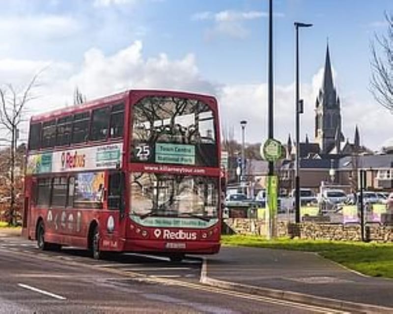 Killarney: Hop-On Hop-Off Bus to Killarney National Park - Ross Castle and the shore of Lough Leane