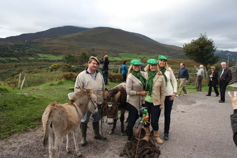 Killarney: Ring of Kerry Bus Tour - Kerry Bog Village: a small stop with real context