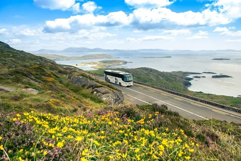 Killarney: Ring of Kerry Bus Tour - Derrynane and the coast near Dingle Bay