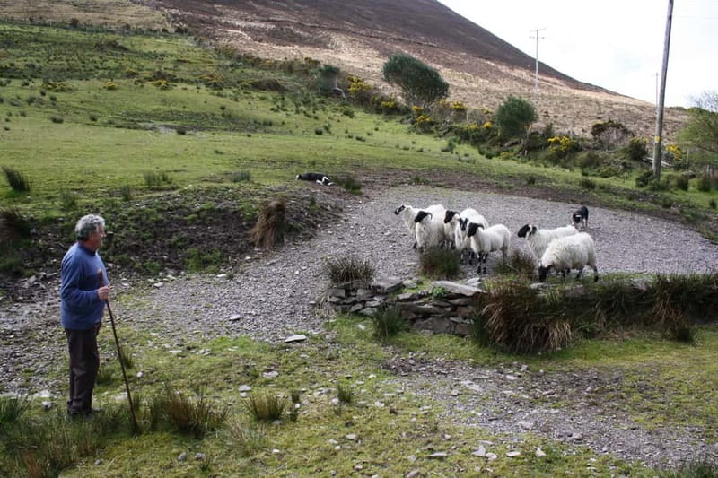 Killarney: Ring of Kerry Bus Tour - Sneem, one of the days best village stops