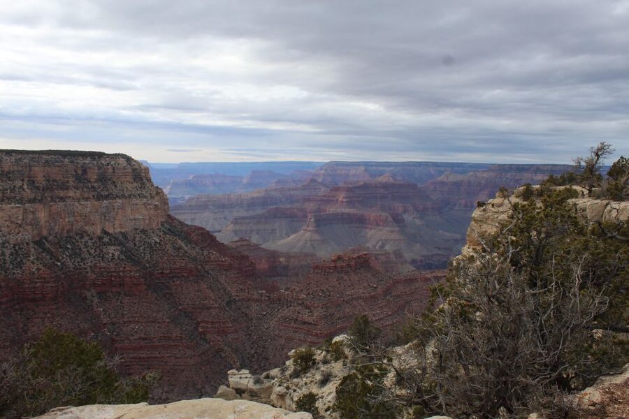 Kingman: Grand Canyon National Park South Rim Bus Tour - Bright Angel and the Trail of Time