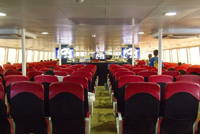 Krabi To Koh Tao(Tao Island) by Bus and Ferry - Luggage, group size, and comfort